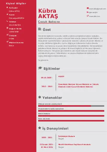 Çocuk Bakıcısı CV Örnekleri cv indir